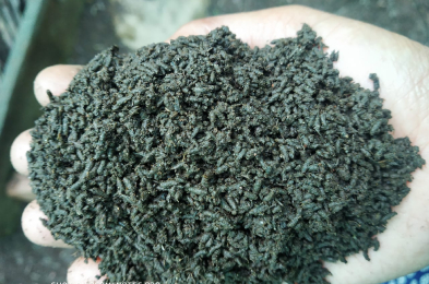 Organic Fertilizer