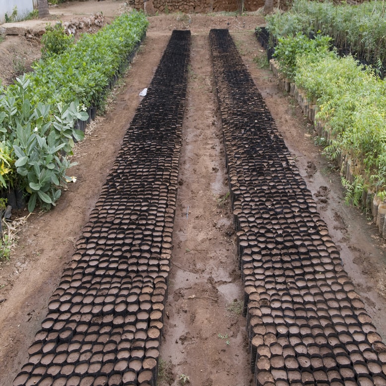 Vermicompost