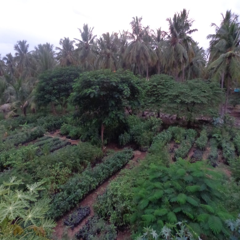 Vermicompost