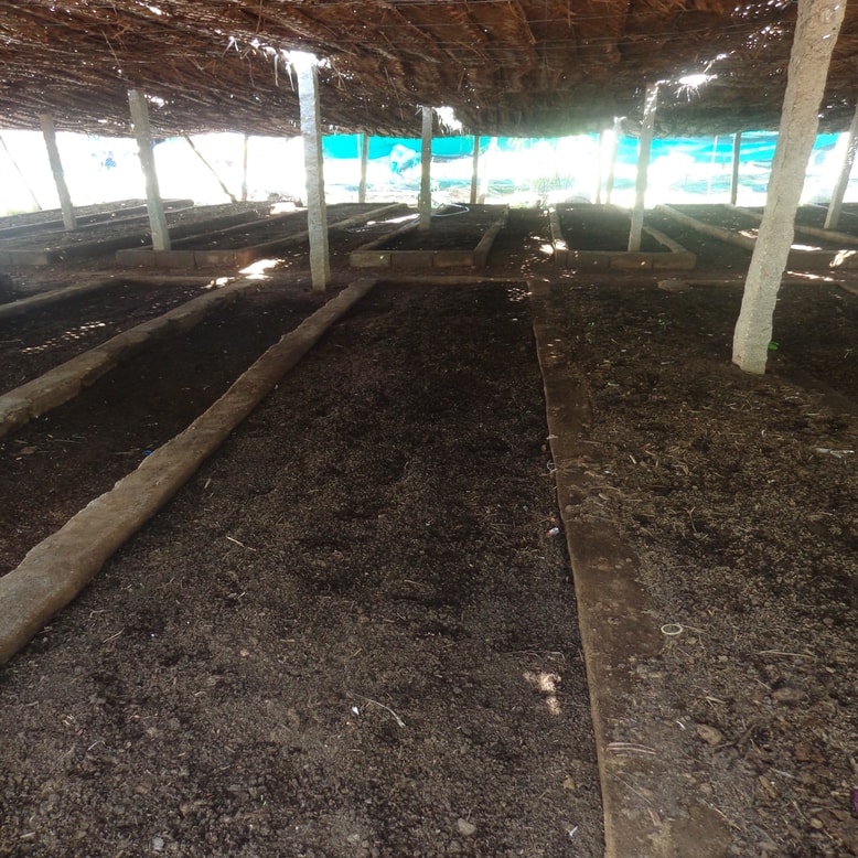 Vermicompost